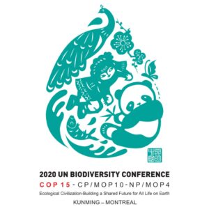 COP 15 poster