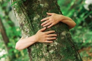 Environmentalist tree hugger is hugging wood trunk in forest